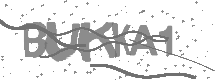 visual captcha